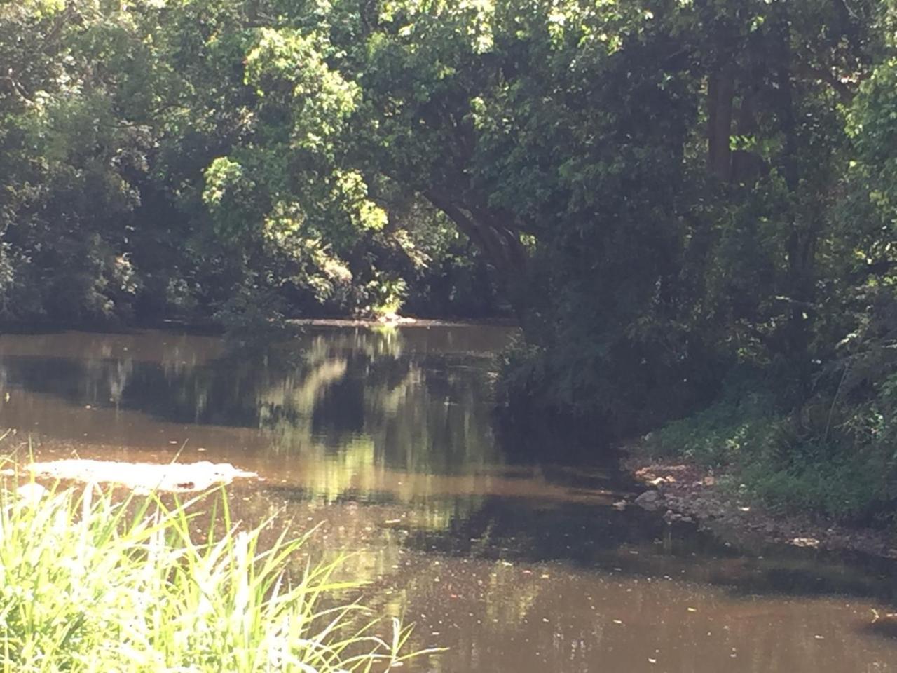 Yandina 扬迪纳大篷车公园露营旅馆酒店 外观 照片